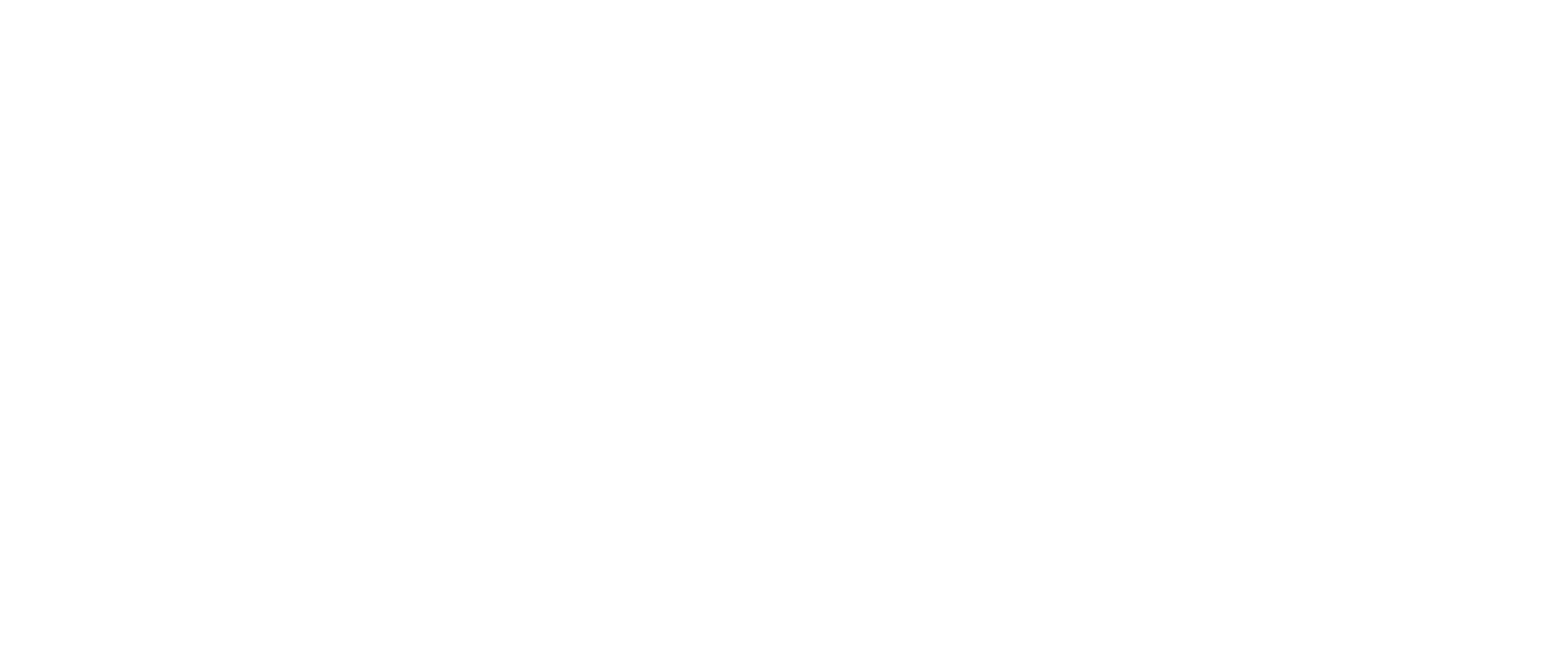 D.logo Hor Cmyk White